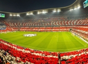 DWG前途光明！，科维托娃新星夺冠表现突出再创辉煌时刻